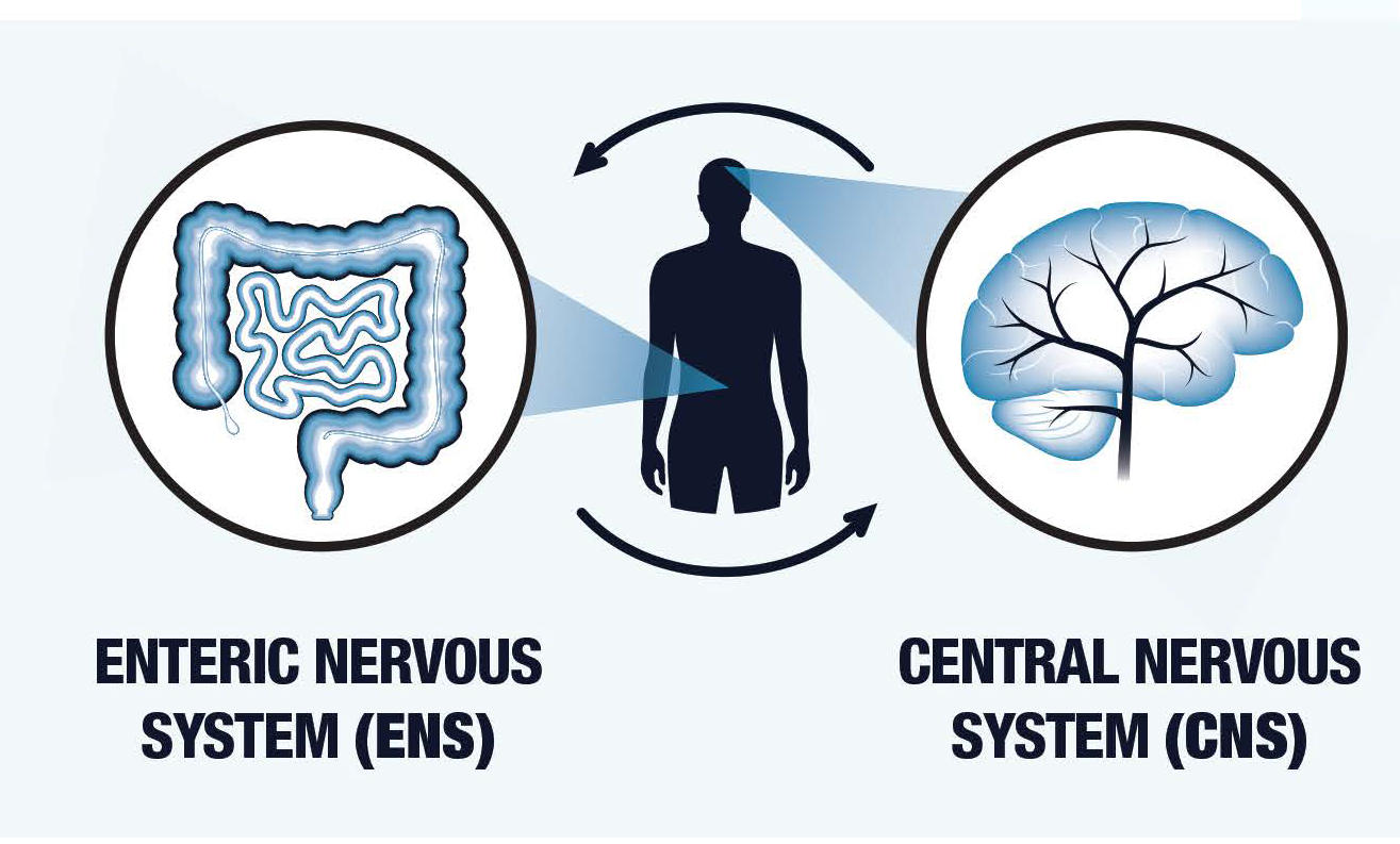 The Gut-Brain Connection Is Real